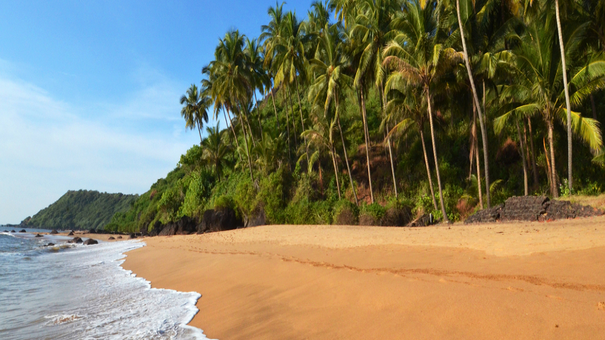 5 Best Beaches In Goa You Must Visit With Family